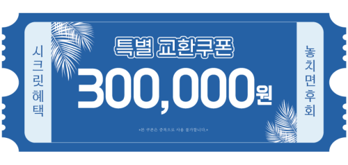 교환쿠폰 30만원 [D·4번]